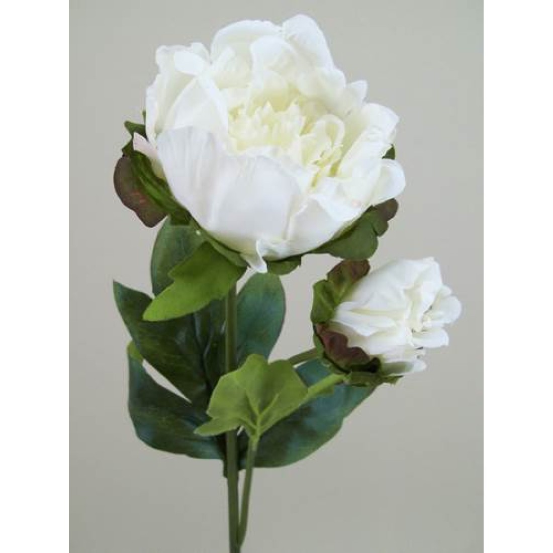 Vintage Peony Flowers Cream 52cm Artificial Flowers